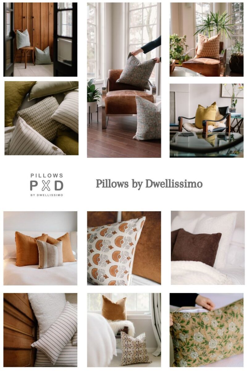 pillows by dwellissimo