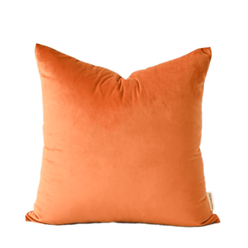 Zen | Mandarin Velvet Pillow Cover